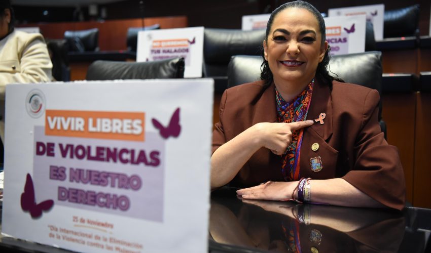 En el Senado aprobamos reformas sustanciales como el Registro Nacional de Deudores Alimentarios, la Ley de Violencia Vicaria y la Prohibición de la Violencia Obstétrica.