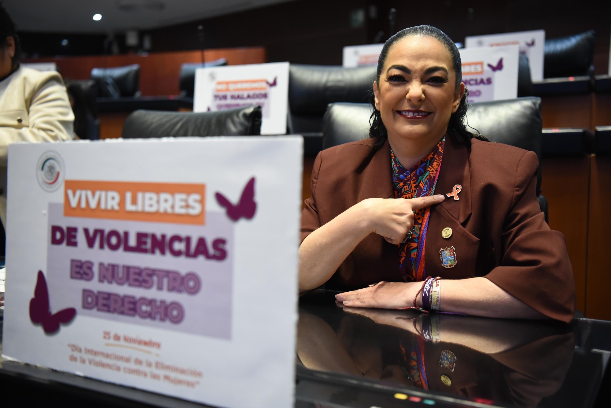 En el Senado aprobamos reformas sustanciales como el Registro Nacional de Deudores Alimentarios, la Ley de Violencia Vicaria y la Prohibición de la Violencia Obstétrica.