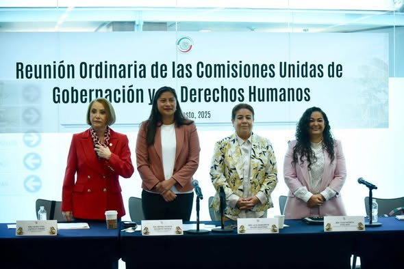 Avanza en el Senado la integración de lista de elegibles a consejeras y consejeros del Consejo Nacional Ciudadano