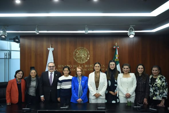 Los programas de bienestar son derechos y garantizan ingreso básico y una vida libre de carencias: Olga Sosa Ruiz