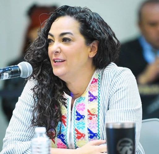 Devolver el carácter público y estratégico a CFE y Pemex y participación ordenada de la inversión privada: Olga Sosa