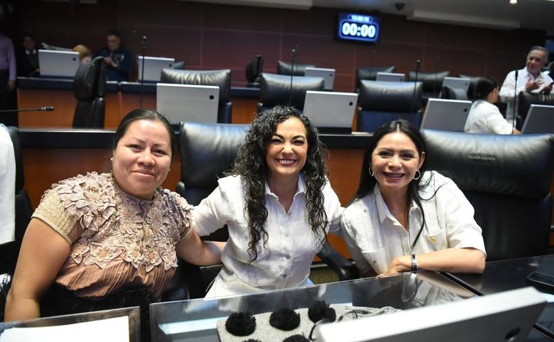 Reforma de Olga Sosa Ruiz garantizará la conservación del acervo bibliográfico de los pueblos originarios