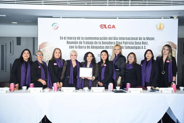 Renovación del poder judicial será paritario, participación de abogadas esencial para la democracia: Senadora Olga Sosa