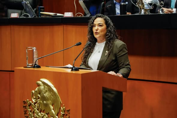 Senadora Olga Sosa Ruiz, propone plantar cercos vivos en lugar de cercos de madera, cemento o alambrada para delimitar propiedades