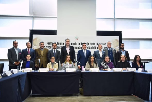 Sector automotriz es respaldado por la comisión del T-MEC, defienden los empleos e inversión de cara a los desafíos con EUA y Canadá
