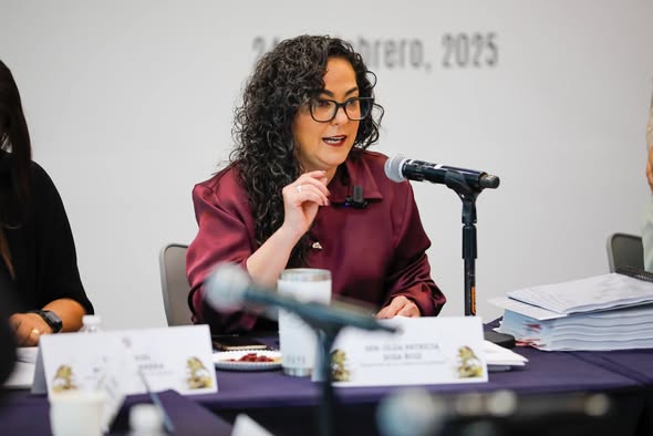 Es Tamaulipas palanca de desarrollo en materia energética: Olga Sosa Ruíz