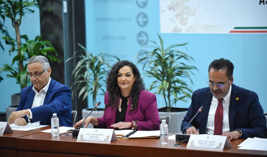 Cuatro ejes de acción para ayudar a la frontera norte del país: Olga Sosa